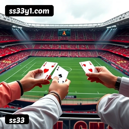 Certificações de segurança e licenças da ss33